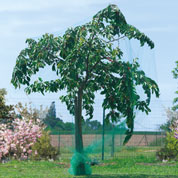 Rede anti-aves para Árvores de fruto - 5x10 m